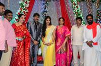 Gopichand Malineni Wedding Reception Gallery
